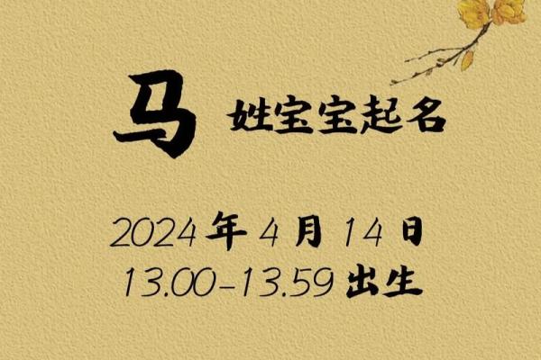 二月份出生属马的男孩该取什么名字姓名