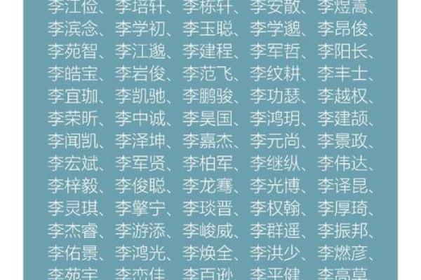 李姓男孩名字大全-李姓男孩起名字大全-李姓名字大全姓名