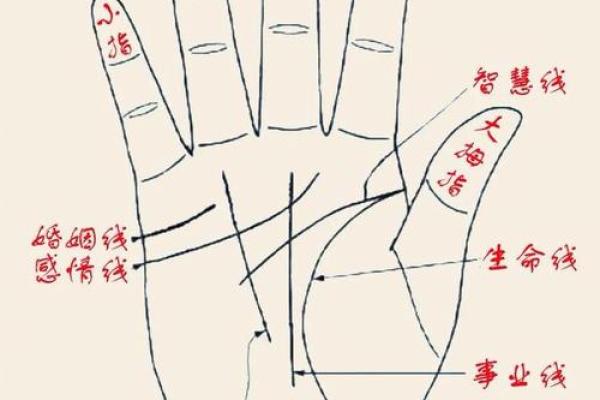 梦到男童给自己看手纹算命