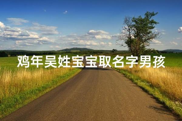 晚上11点出生的属鸡男孩宜用什么字取名字合适姓名