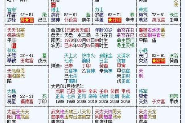 紫薇斗数无命格