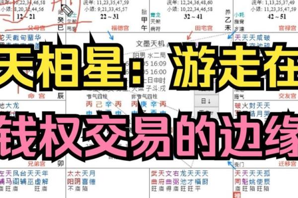 南辰紫薇斗数