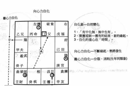 紫微斗数之八卦万物类象：兑卦详解