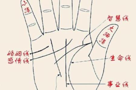 梦到男童给自己看手纹算命