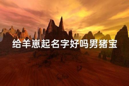 中午1点出生的属羊男孩如何起名，用什么字姓名