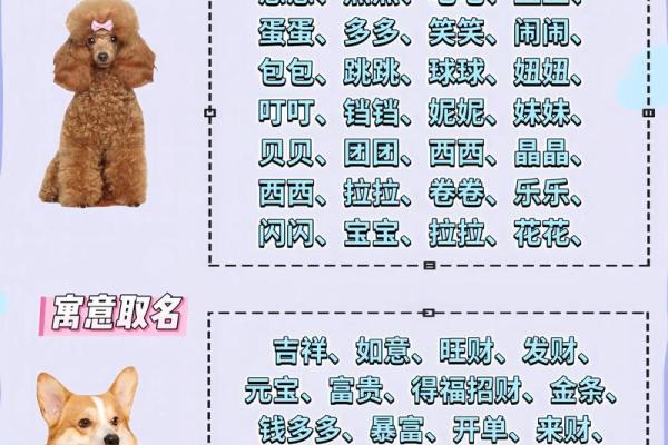 早上九点出生的属狗男孩取什么名，适合什么字姓名