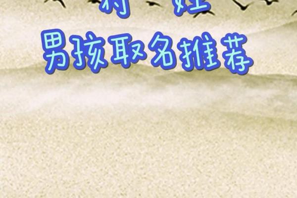 2019年3月17号巳时出生的男孩应该起什么样的名字姓名