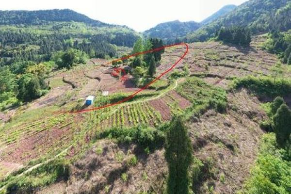 历史上众多名人墓地风水大全集