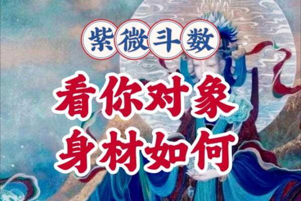紫薇斗数看你的学历