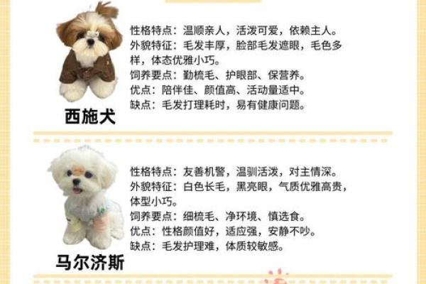 属狗女生好听的小名有哪些？女孩洋气的小名汇总姓名
