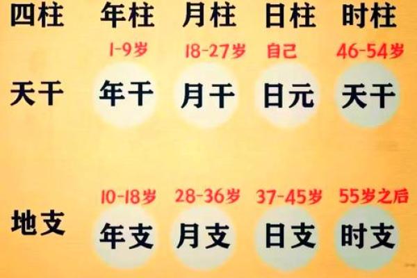 怎样查看自己的生辰八字