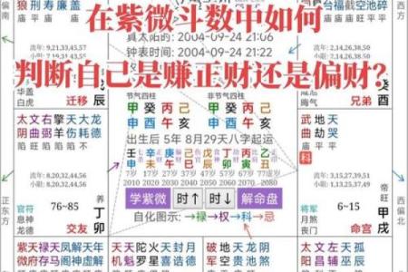 紫薇斗数和八字有什么区别