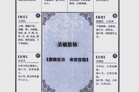 紫薇斗数限流盘