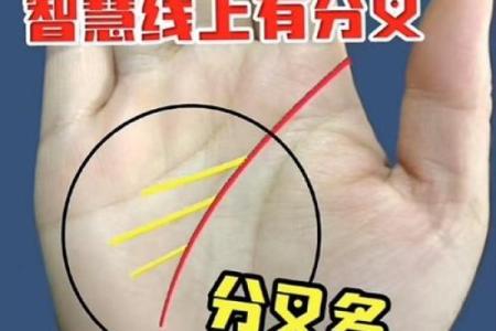 看手相为什么能从众多算命法中脱颖而出且延绵不绝？它真的不靠谱吗？