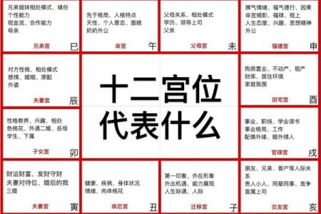 紫薇斗数看两人怎么认识的