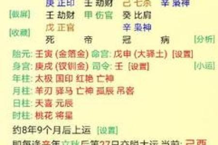 八字从旺格