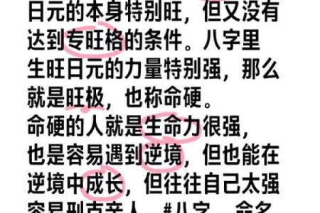 八字旺格