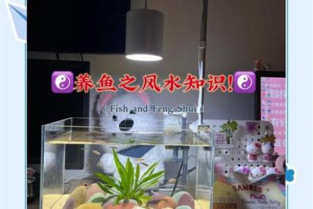 鱼缸的风水妙用