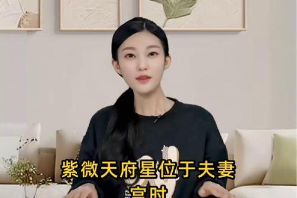 紫微斗数之夫妻宫与诸星，天府星在夫妻宫是什么意思？