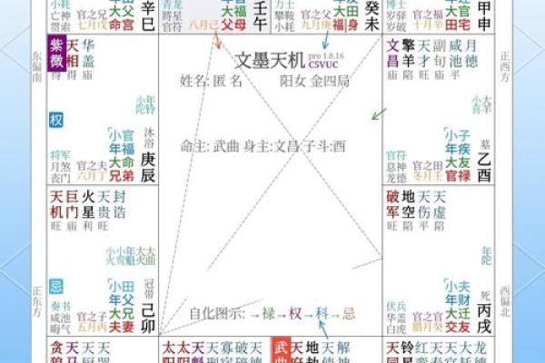 测紫薇斗数app