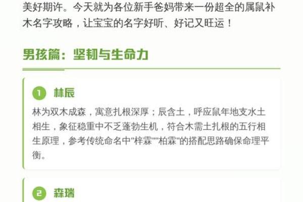 什么字适合给晚上11点出生的属鼠男孩起名姓名