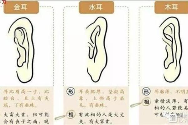 女孩十种福气耳朵图解面相风水