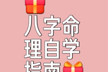 吉吉八字