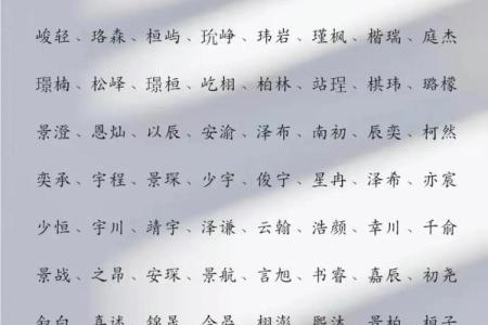 2019年3月30号寅时出生的男孩起名方法姓名
