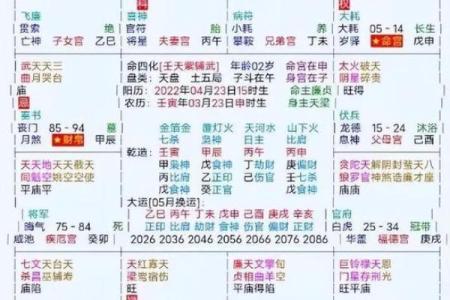 紫薇斗数的命主身主什么意思