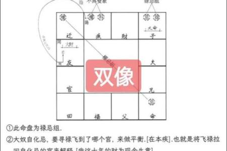 紫薇斗数象意