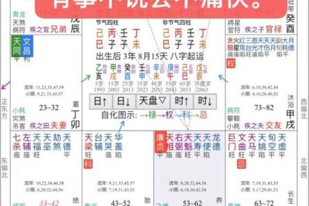 紫薇斗数生年自化