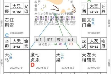 紫薇斗数小流连