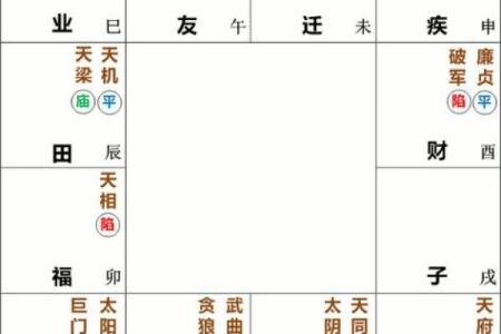 紫微斗数之子女宫与诸星，武曲星在子女宫是什么意思？