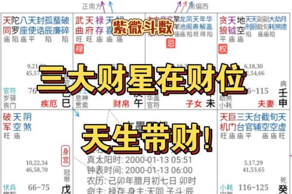紫薇斗数财阜宫