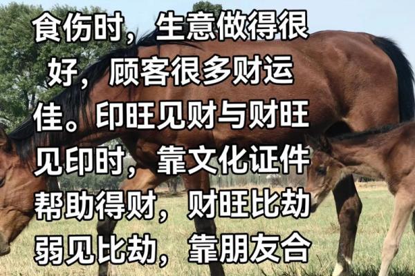 生辰八字算命：财运并非“财运”