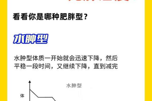 人胖与瘦八字命理组合揭秘