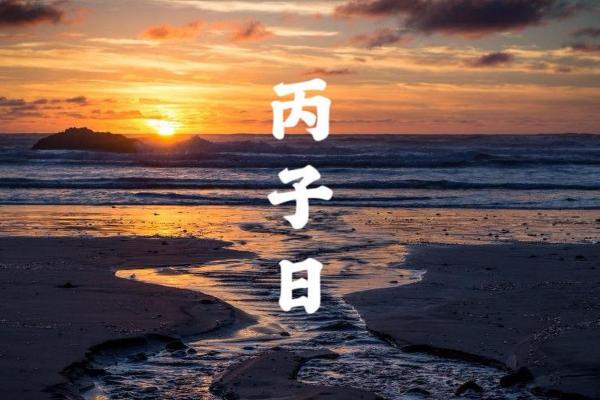 丙子日八字