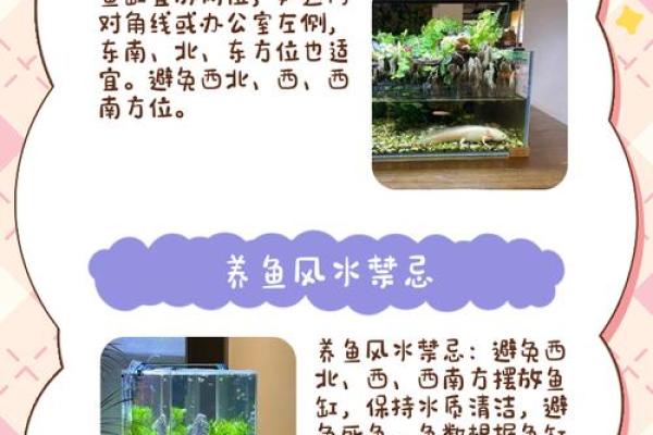 养鱼的喜忌：家庭养鱼风水讲究