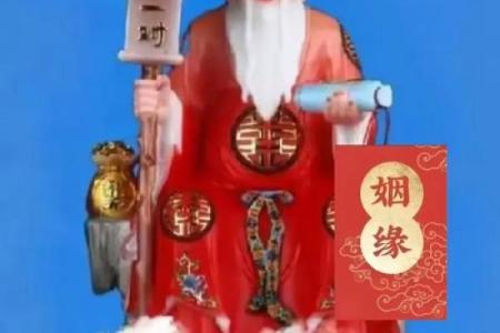 算命婚姻树年