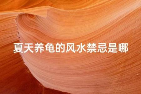 住宅养龟风水禁忌有什么说法作用