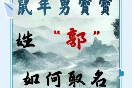 晚上9点出生的属鼠男孩好名推荐姓名