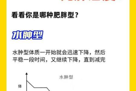人胖与瘦八字命理组合揭秘