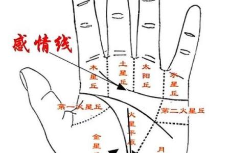 生命线算命：手掌上的玄机真能预测你的命运？
