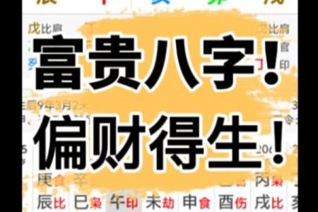 偏财运好的八字 八字偏财运好吗