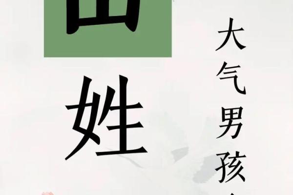 2019年4月23号卯时出生的男孩应该起什么样的名字姓名