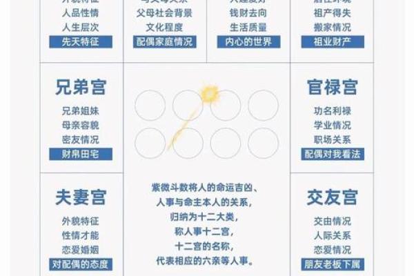 紫微斗数之诸星值限年运气推断：天府星之年