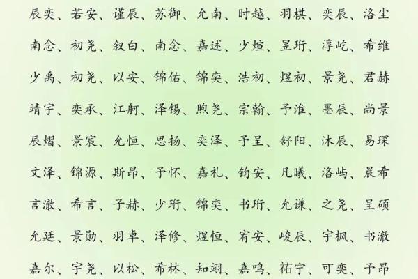 2019年6月12号子时出生的男孩起名时要注意什么姓名