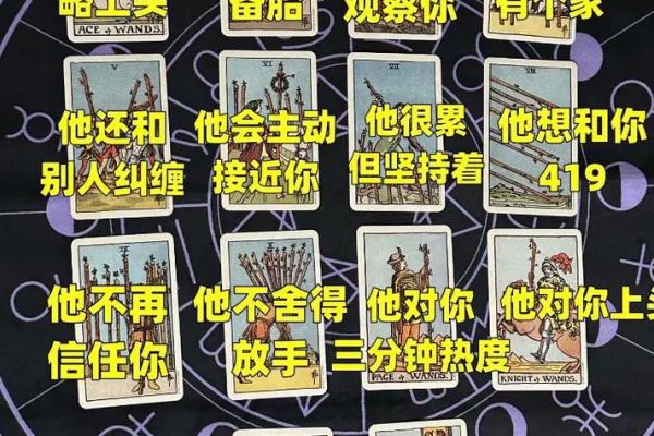 塔罗测试四月学习