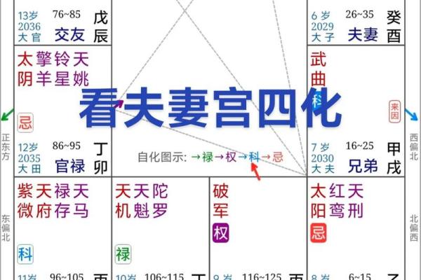 紫微斗数夫妻宫在亥无主星 加桃花主配偶有艺术才能
