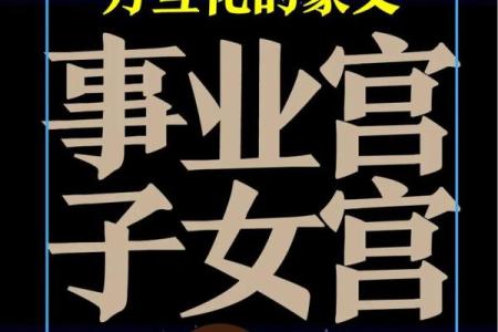 紫微斗数看会拥有美好婚姻的人